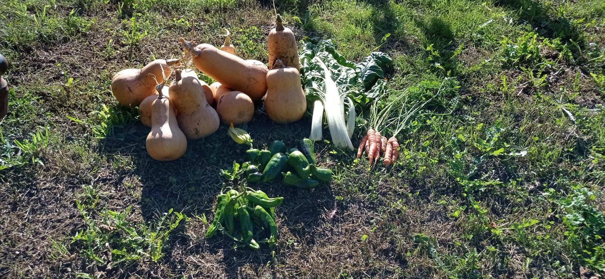 Albergue Olasenea Aterpea Zubieta Zewnętrze zdjęcie
